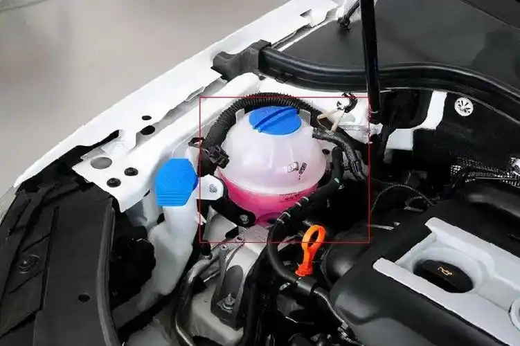 加入染色剂观察区分防冻液.