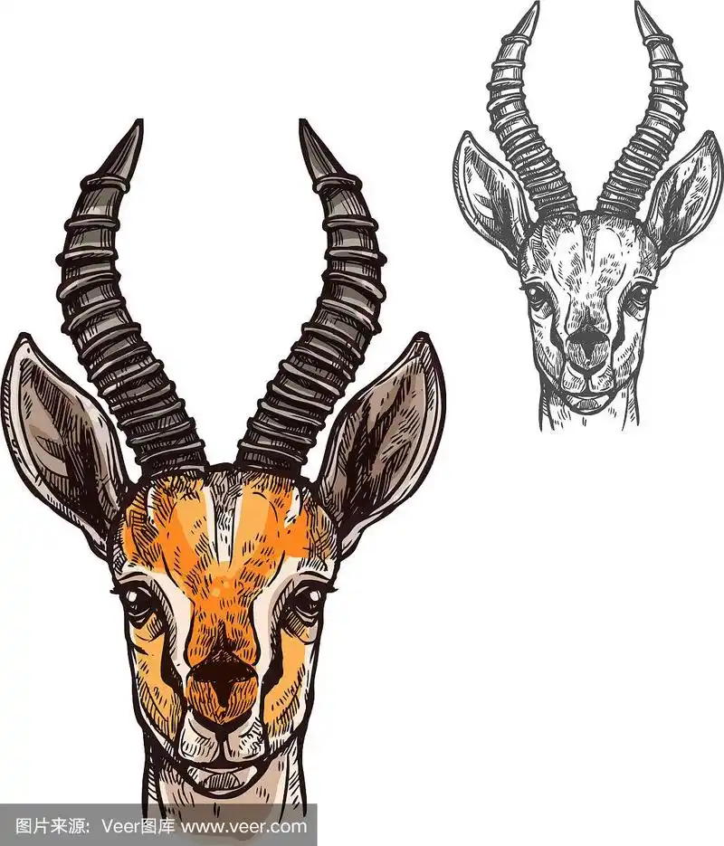 羚羊素描图标的非洲野生动物