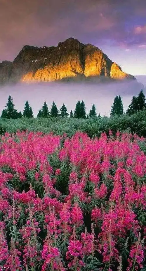 太美了!100张世界顶级美景