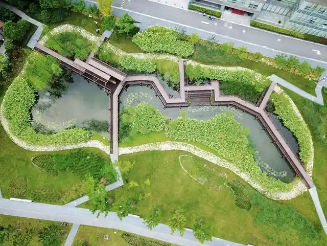 这些高颜值且实用的雨水花园你知道吗