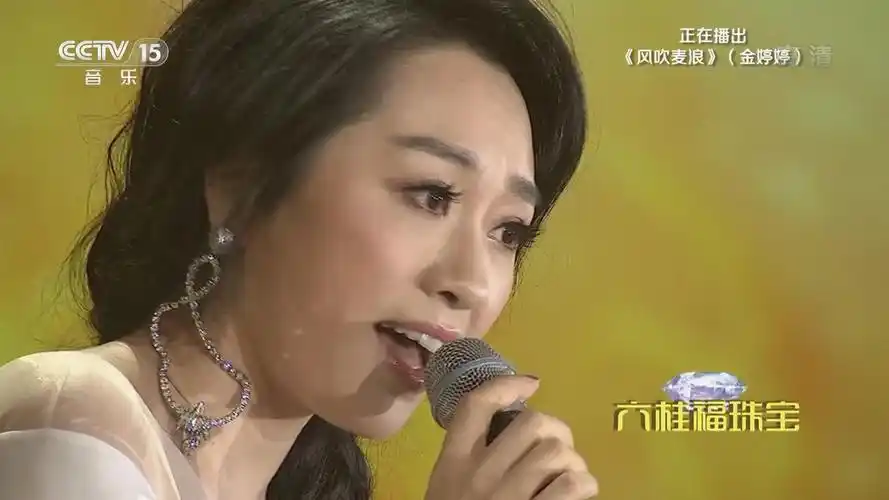 风吹麦浪-金婷婷