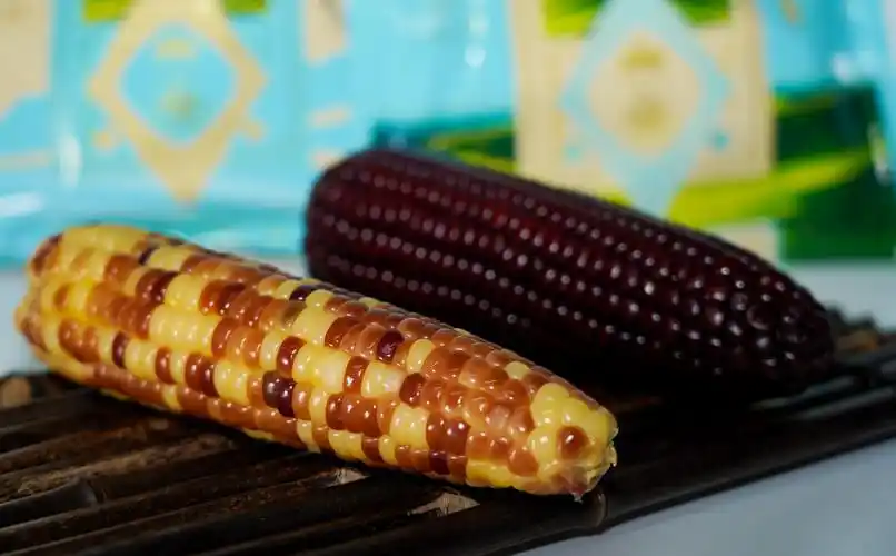 新品种"丁香紫"玉米,谷物界的养颜密码