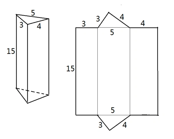 底面是非等腰直角三角形三棱柱的表面展开图