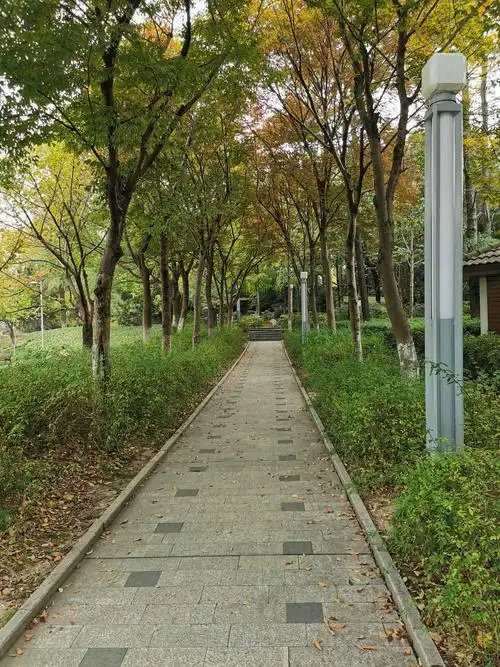 方洲公园观赏记 - 美篇