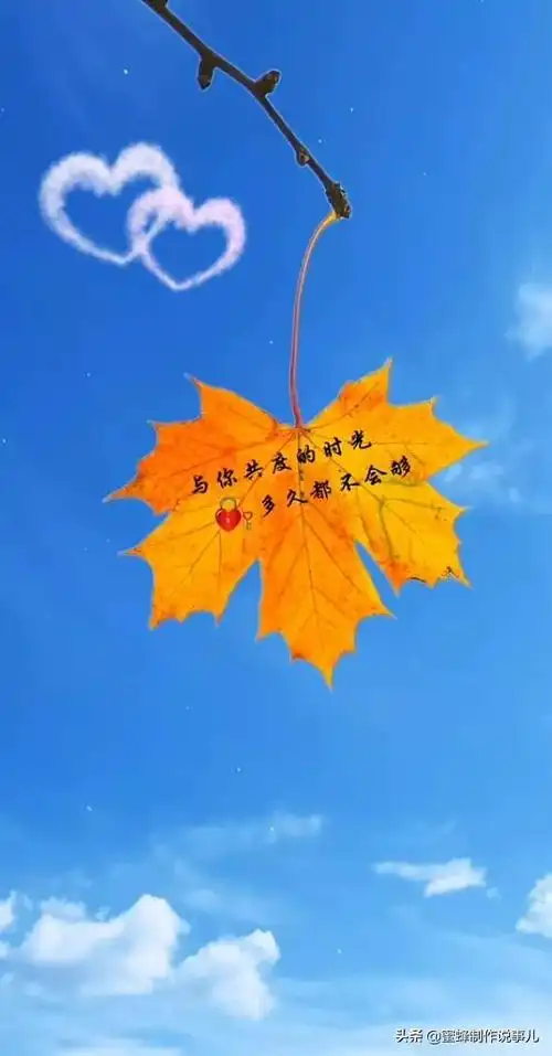 吹面不寒杨柳风意境美图(笑看花开,是一种美好的心情)