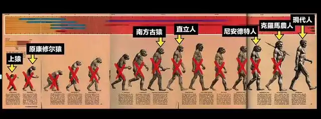 这幅图绘制于1965年,它经常伴随着达尔文的进化论一起出现;让我们误