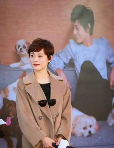 孙俪只剪一款短发减龄10岁不止,36岁嫩回20岁,原来短发那么减龄_气质