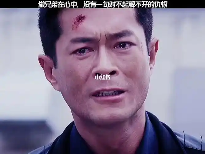 古天乐 #张家辉 #刘青云   2013最佳犯罪警匪片 (扫毒)