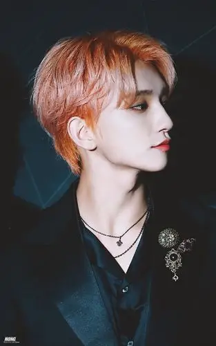 joshua 洪知秀 seventeen