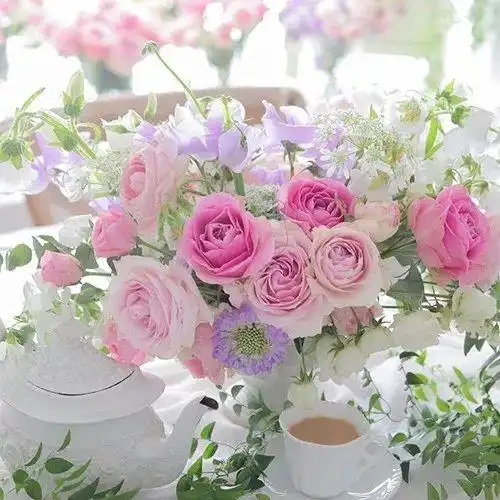 好看的淡雅唯美微信头像图片