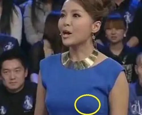 央视女星胸前「凸两点」? 网友找碴惊呼:真的没穿