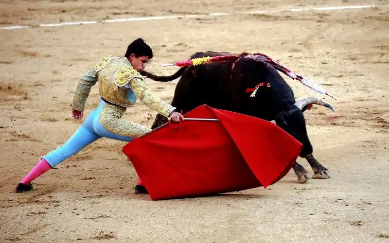 佳能相机——西班牙斗牛 - 人物类-摄影大赛2016 - 国家地理中文网