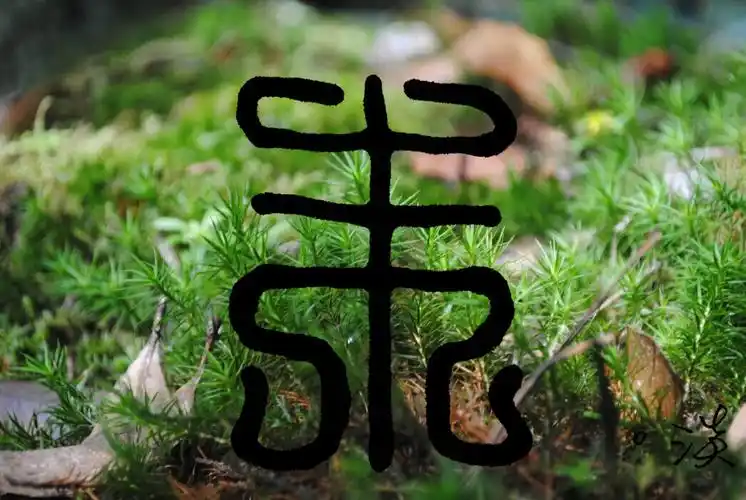 2015年4月3日 23:35   关注  摄影 文字 手写 朱 姓氏壁纸 评论 收藏