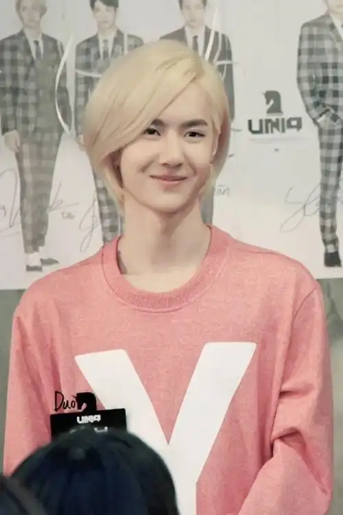 洛阳白牡丹 王一博