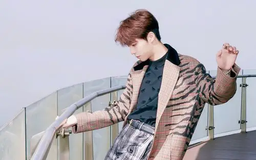 陈立农豹纹狂野不羁写真桌面壁纸