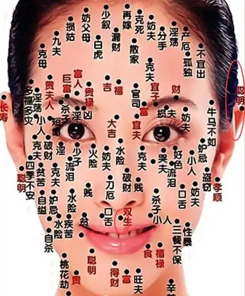 以后你儿子有出息女人右耳朵上有痣图解.