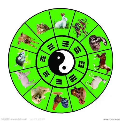十二生肖与八卦的关系