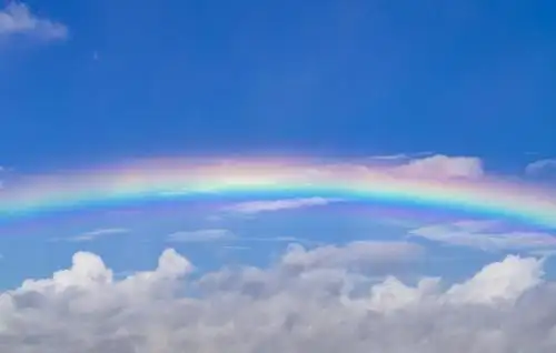 早晨醒来见彩虹