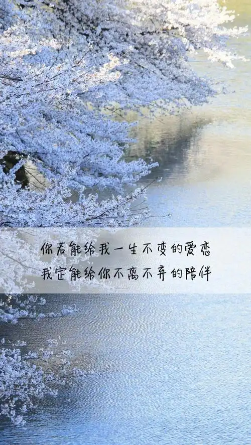 爱情文字语录图片 爱你所爱唯美心情文字图片