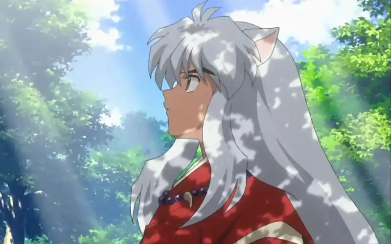 犬夜叉mad犬薇初遇令人难以忘怀的半妖少年