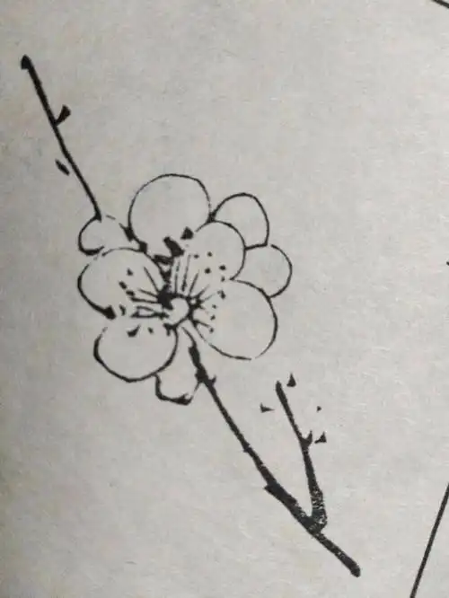 梅花这样画更显傲骨