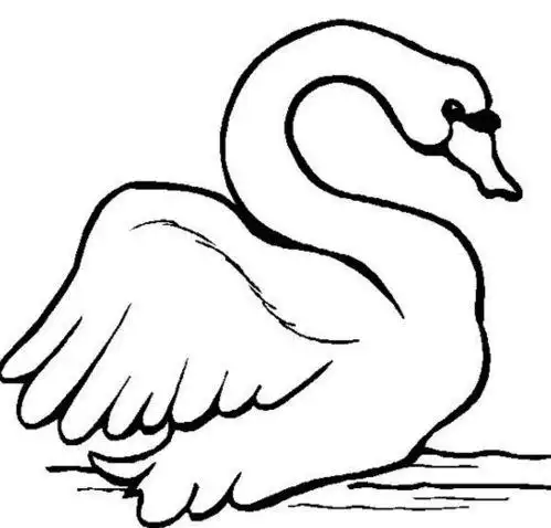 少儿简笔画怎么画大白鹅大白鹅简笔画儿童启蒙画 陆地动物简笔画100张