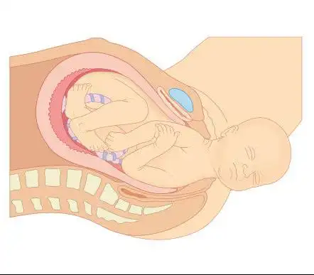 女人生孩子的全过程你清楚吗,母亲是伟大的