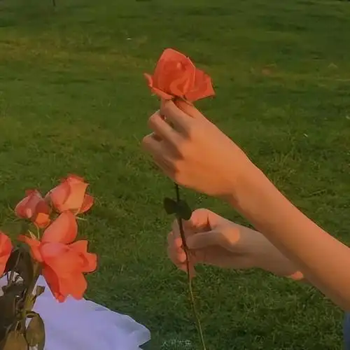 适合中年女性的昵称和头像,和别人不重名