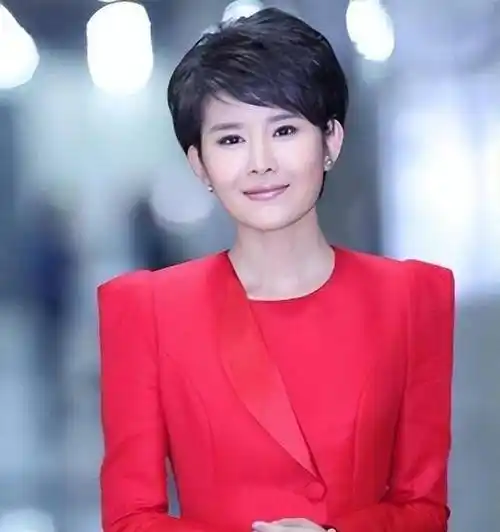 王宁:从河北石家庄走出来的央视著名女主持人,男友在雾中迷路了