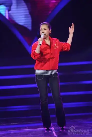 田震被曝患血液病将隐退歌坛(图)