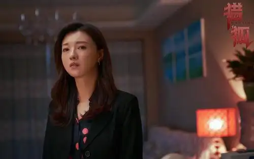 电脑壁纸 影视 中国影视 最新犯罪大片《猎狐》