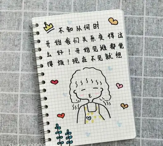 开心早教:简笔画手账利邦清新全彩页手账本插画内页日记本每周月日程