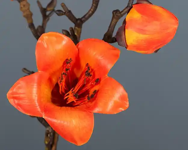 中式古典手感仿真木棉花家居装饰假花仿真英雄花婚庆花桌面花艺