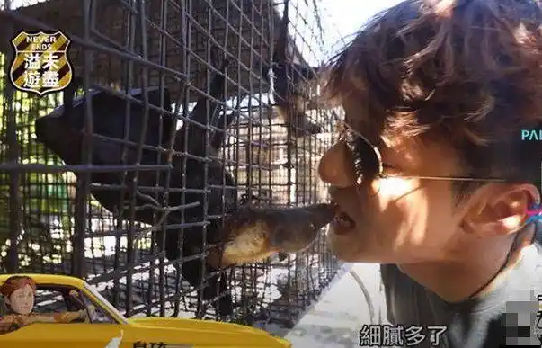 tvb主持人旅游节目中吃蝙蝠,电视台遭观众举报