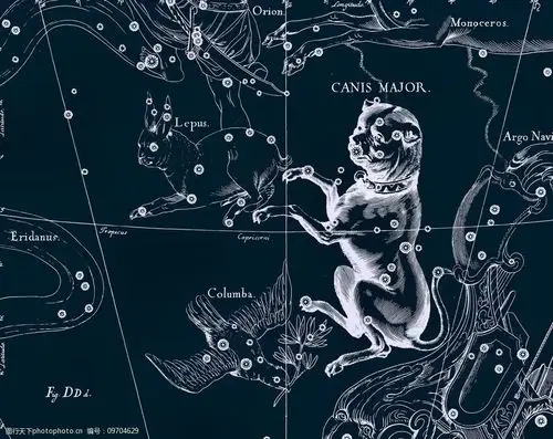 关键词:大犬座 星座 星空 星际 十二星座 星星 天空 宇宙 天文 其他