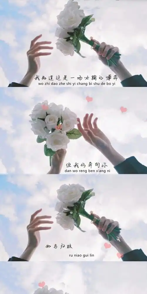 三拼图 - 堆糖,美图壁纸兴趣社区