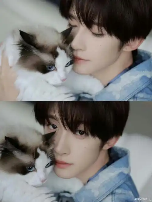 刘宇抱猫照