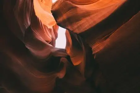 自然护眼绿叶背景4k电脑壁纸3840x2160_4k风景图片高清壁纸_墨鱼部落