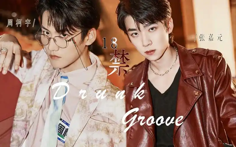【元周率 | 周柯宇 张嘉元】drunk groove /囚禁 占有 有车慎入