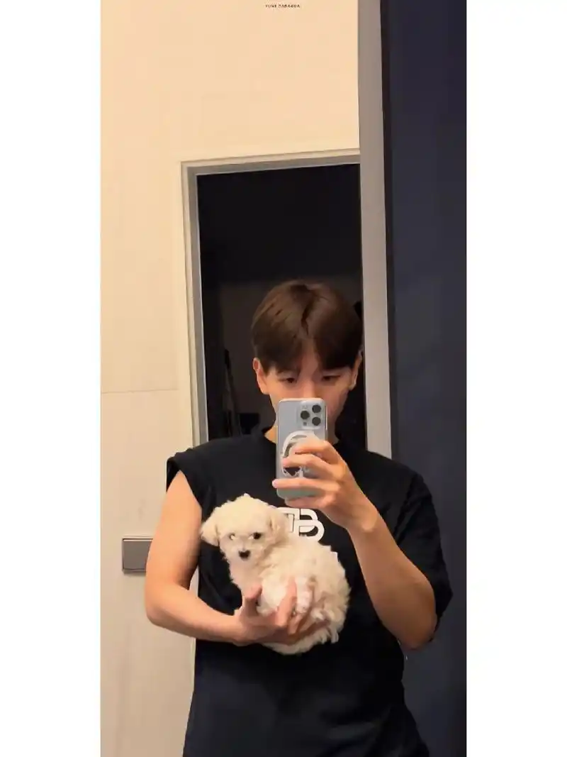 边伯贤男友照合集