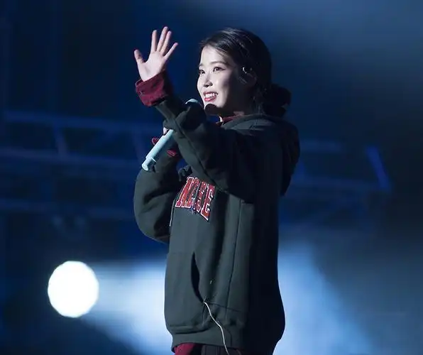 正版优选 2020iu李智恩同款演唱会绿色宽松字母刺绣套头连帽加绒卫衣