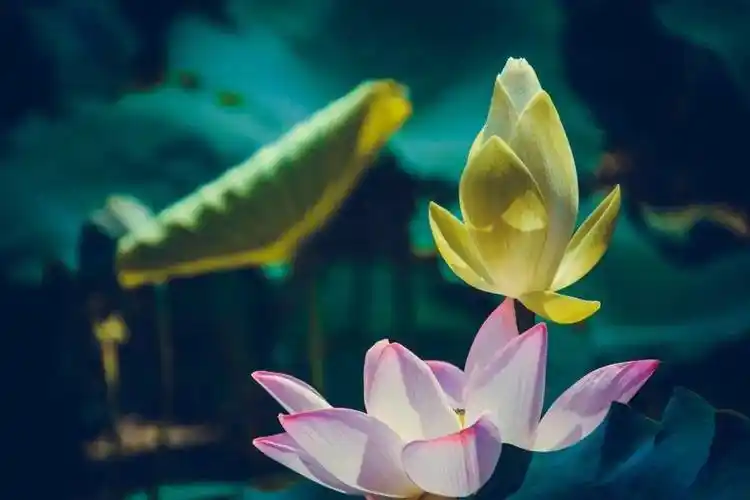 静心世上无难事只怕有心人