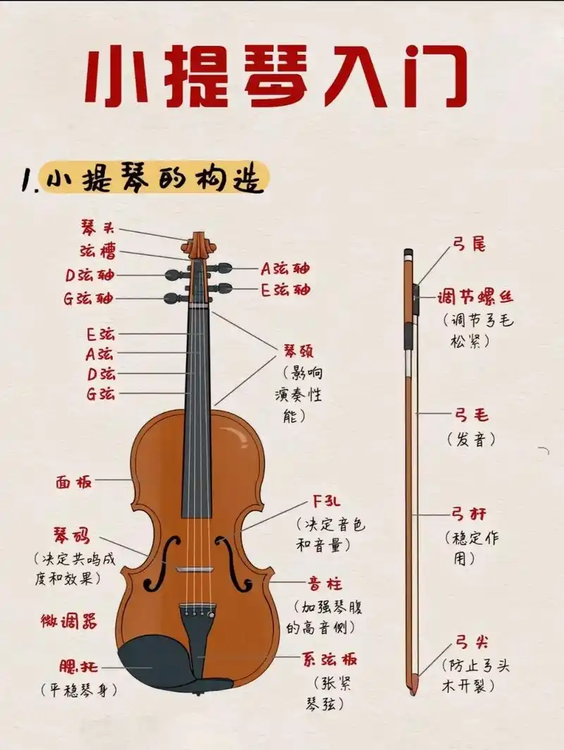 小提琴.#零基础教学 - 抖音