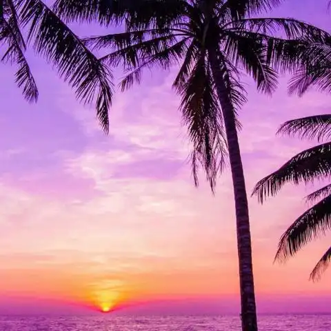 快手风景头像图片大全 走过光年的爱