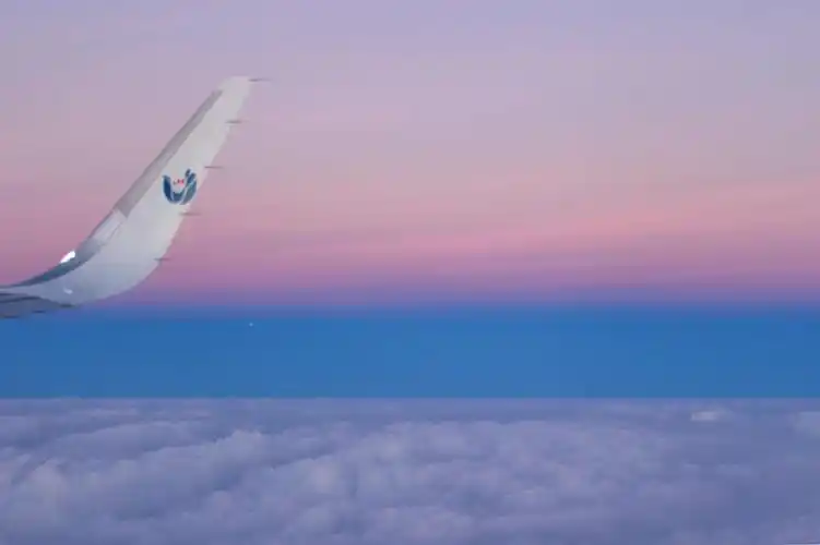 同样充满少女心的天78