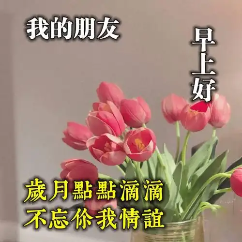 早上好超级温馨的祝福语适合群发给好友的唯美鲜花带字高清图片