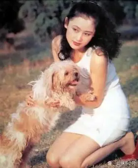 香港四美台湾四美大陆四美哪个让你惊艳呢哪组颜值最强