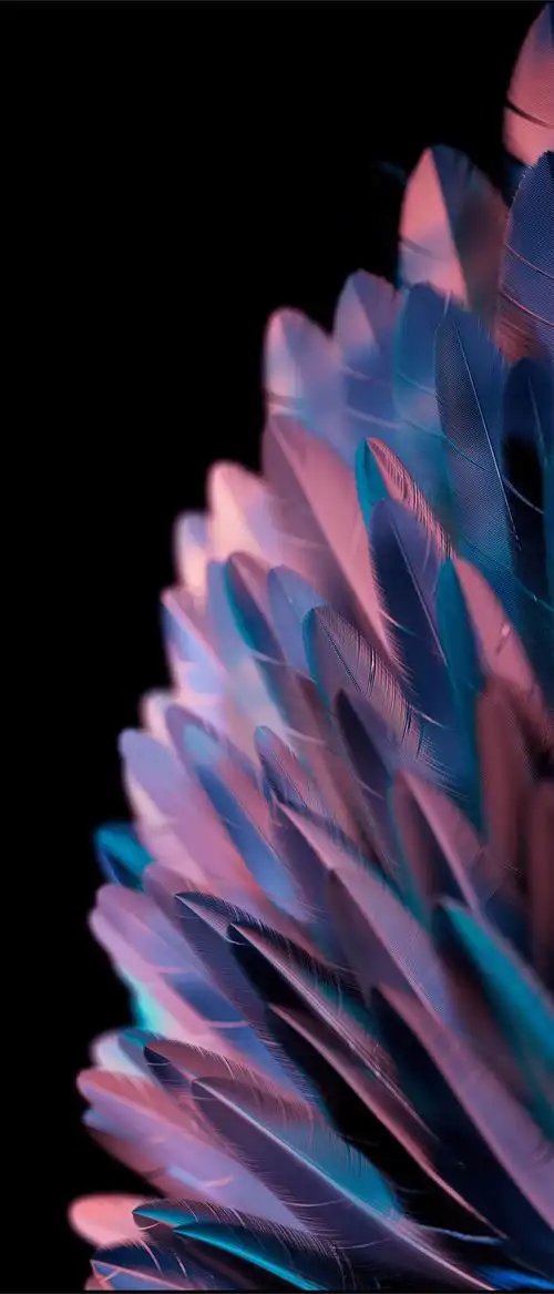 oppo find n2系列壁纸曝光