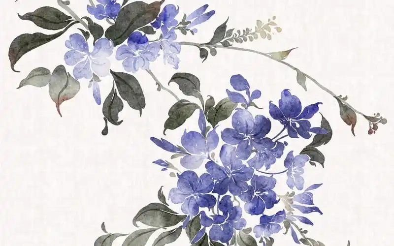 ipad古风花卉 | 蓝雪花绘画过程