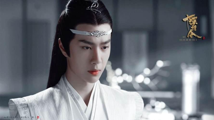 蓝湛- 堆糖,美图壁纸兴趣社区